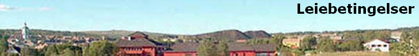Leiebetingelser