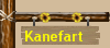 Kanefart 