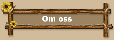 Om oss